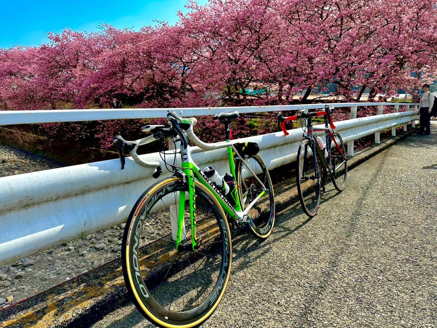 下田市 Toraya Atticヴィラ エクステリア 写真