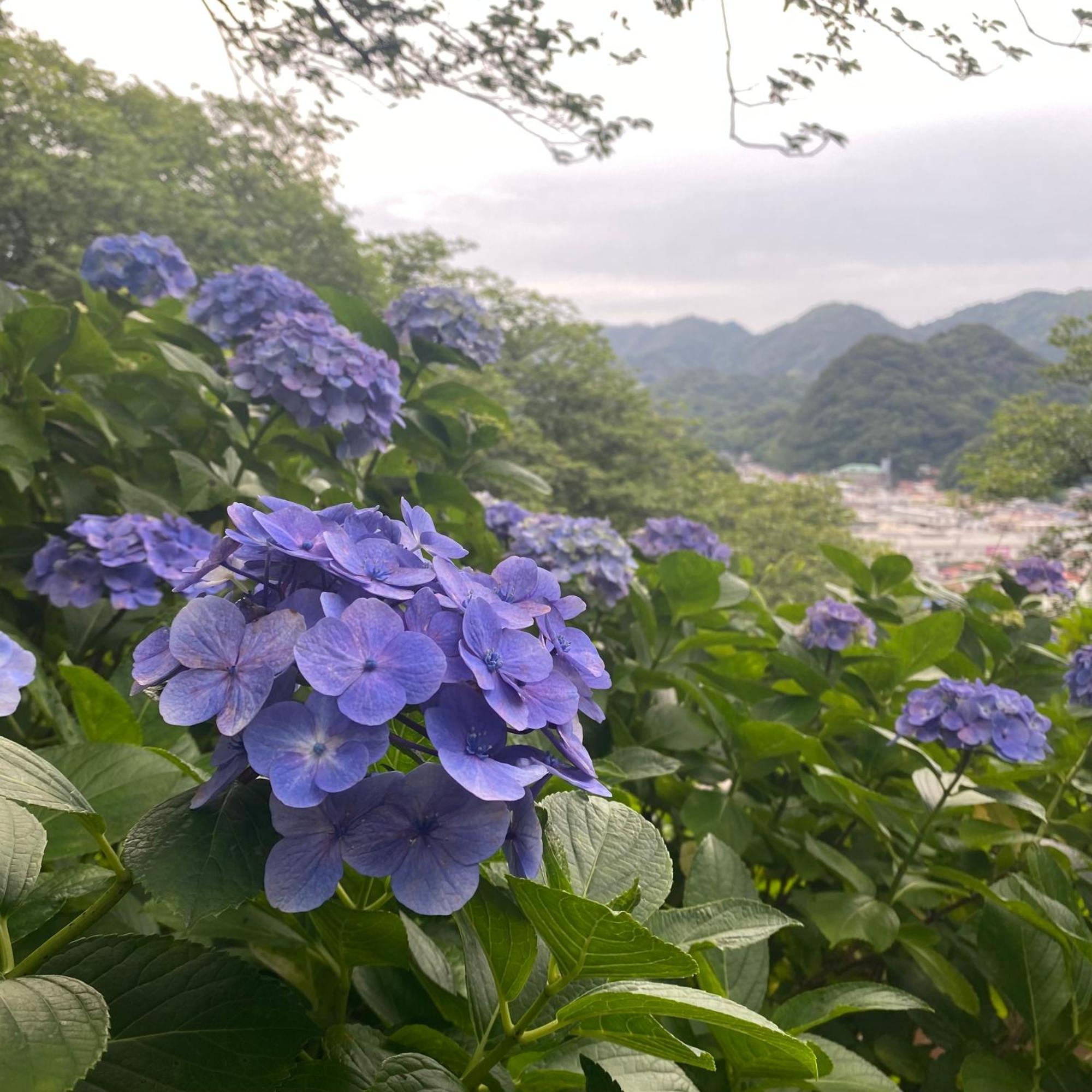 下田市 Toraya Atticヴィラ エクステリア 写真